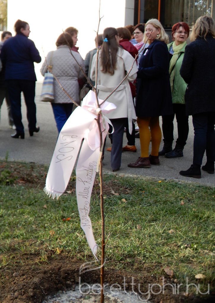 Tulipánfával a mellrák ellen 17